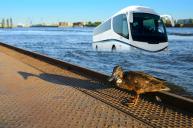 Schwimmbus in Hamburg unterwegs