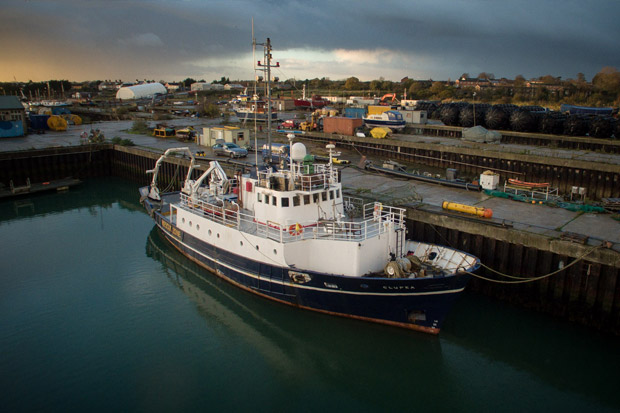 Derzeit liegt die "Clupea" noch im Hafen von Lowestoft in Großbritannien