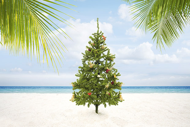 Ob aus dem warmen Süden oder dem hohen Norden, insgesamt 65 Schiffe erhielten heute einen echten norddeutschen Weihnachtsbaum.
